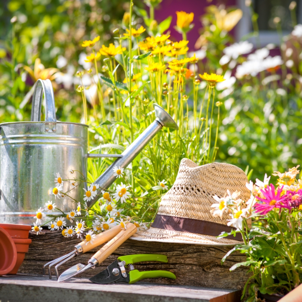 MJL Gardening Services 2 x tickets to Exeter Chiefs Cup Game